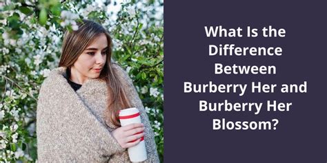 difference between burberry and berry.